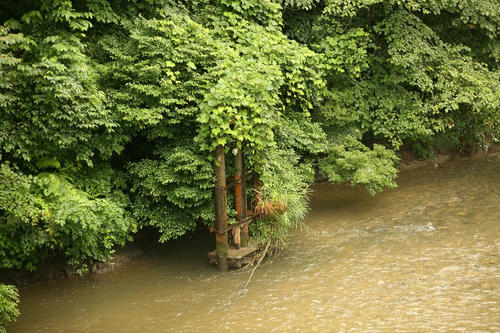 20090829tokusawa2.jpg