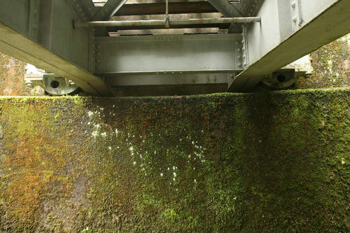 20090930-7.jpg