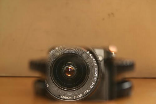 20091018-5d3.jpg