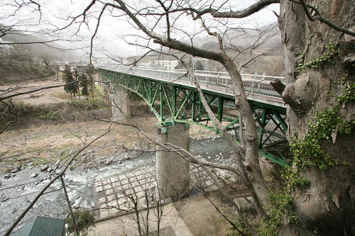 20100321-3_R.JPG