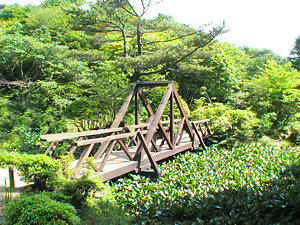 rokko_003_s2.jpg