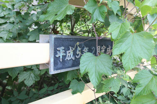 IMG_5865_R.JPG