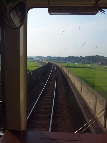 DVC00247_R.JPG