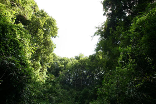 IMG_8476_R.JPG
