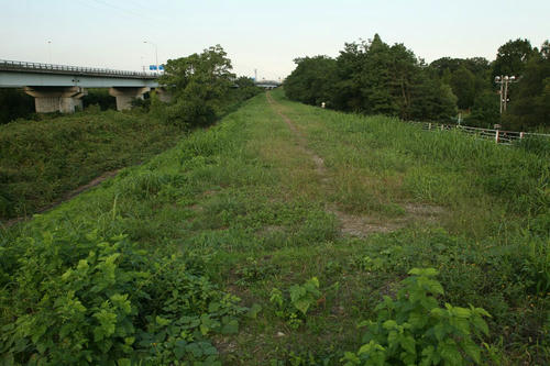 IMG_8732_R.JPG