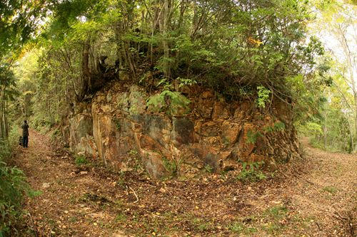 20101011-05.JPG