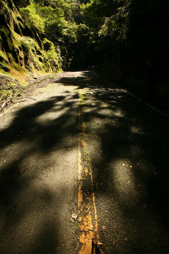 20101013-01.JPG