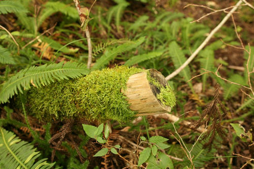 20101013-03.JPG
