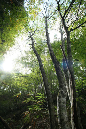 20101013-04.JPG