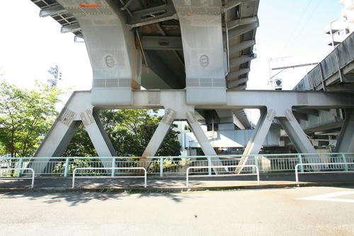 20101104-04.JPG