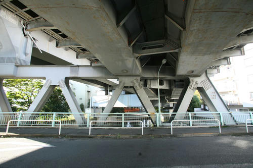 20101104-05.JPG