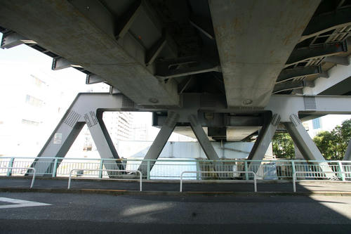 20101104-06.JPG