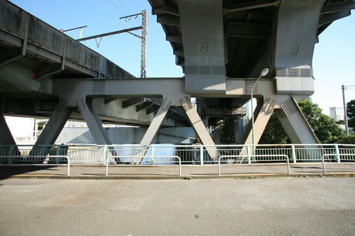 20101104-07.JPG
