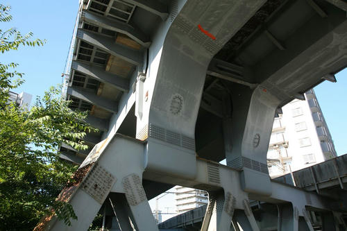 20101104-08.JPG