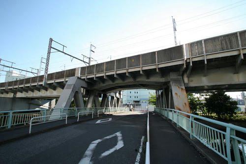 20101104-22.JPG