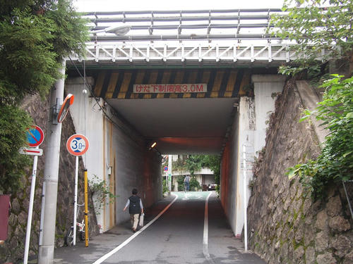 20101107-C.JPG