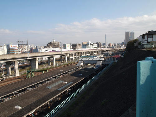 20101116-05-3.JPG