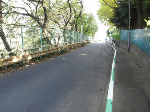 20101116-08-5.JPG