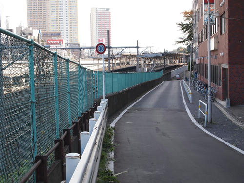 20101116-09-6.JPG