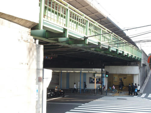 20101116-12-8.JPG