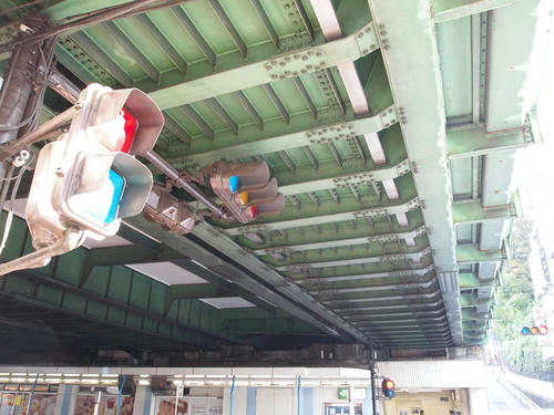 20101116-13.JPG