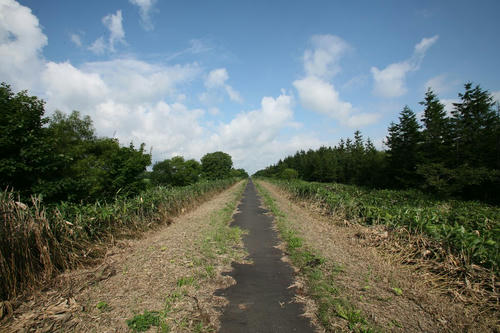 20120424_000.JPG