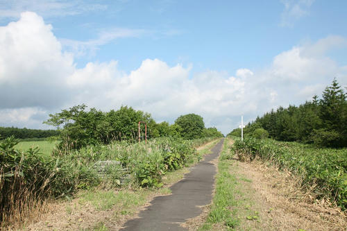 20120424_002.JPG