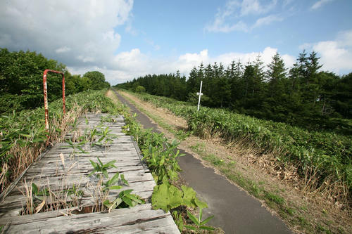 20120424_003.JPG