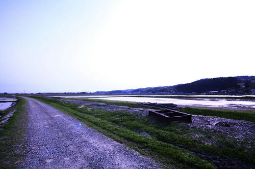 20120527_011.JPG