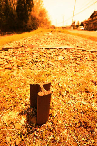 20120527_005.JPG
