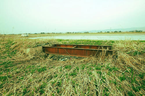 20120527_015.JPG