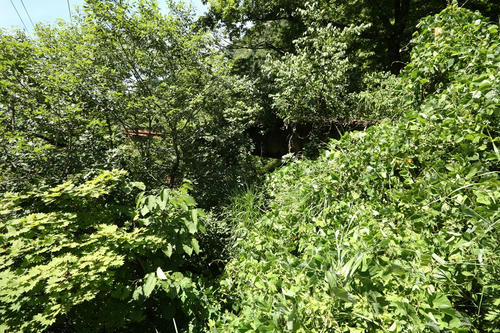 20120929_005.JPG