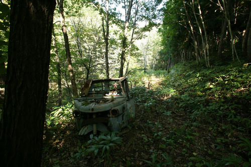 20121031_000.JPG