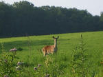 IMGP0540.jpg
