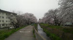 2008041612230000.jpg