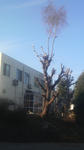 2009010815300000.jpg