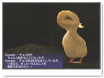 chocobo008.jpg