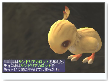 chocobo012.jpg