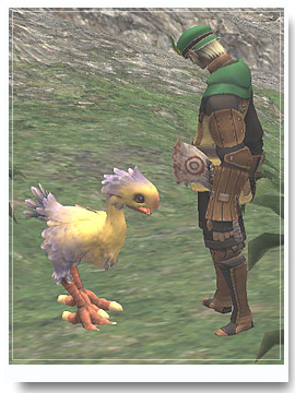 chocobo034.jpg