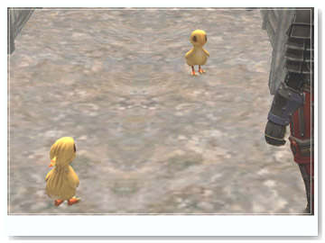 chocobo035.jpg