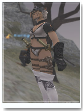 sexycommander001.jpg