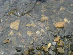 IMG_1543.jpg