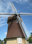 IMG_1546.jpg