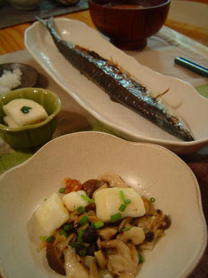DSC01105.jpg