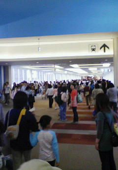NEC_0046.jpg