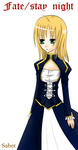 saber2.jpg