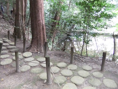 池の周りの遊歩道