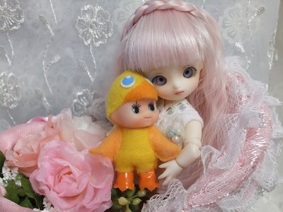 ブラウニーちゃん