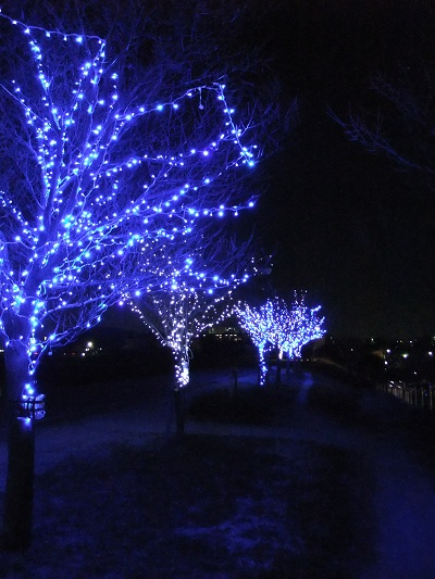 イルミネーション①