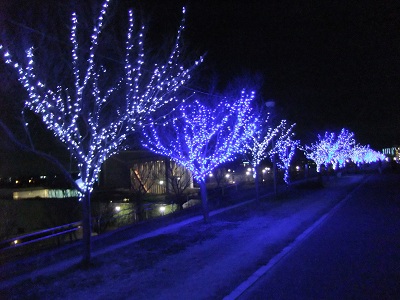 イルミネーション②